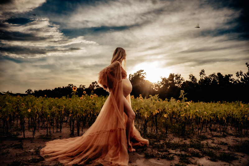 Maternity Photographer, a pregnant woman walks near a field of sunflowers in a flowing dress